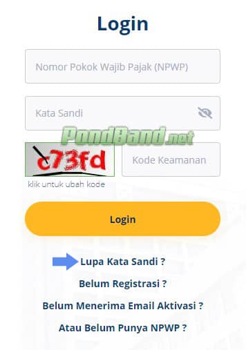 Lupa Password DJP Online