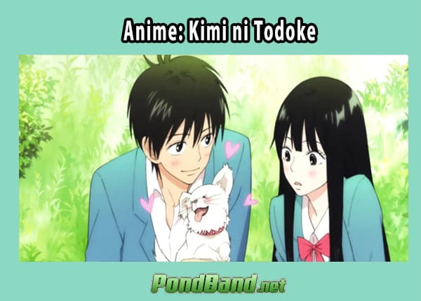 Anime: Kimi ni Todoke